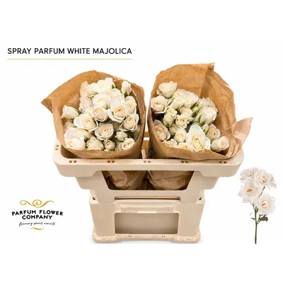 Rosa Spray Parfum White Majolica