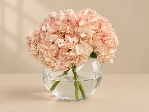 Peach hydrangea in a bowl vase