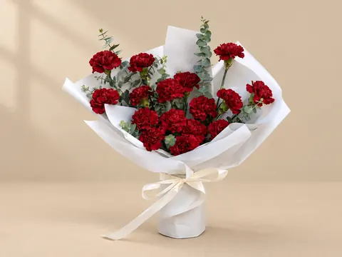 Burgundy Carnation Bouquet