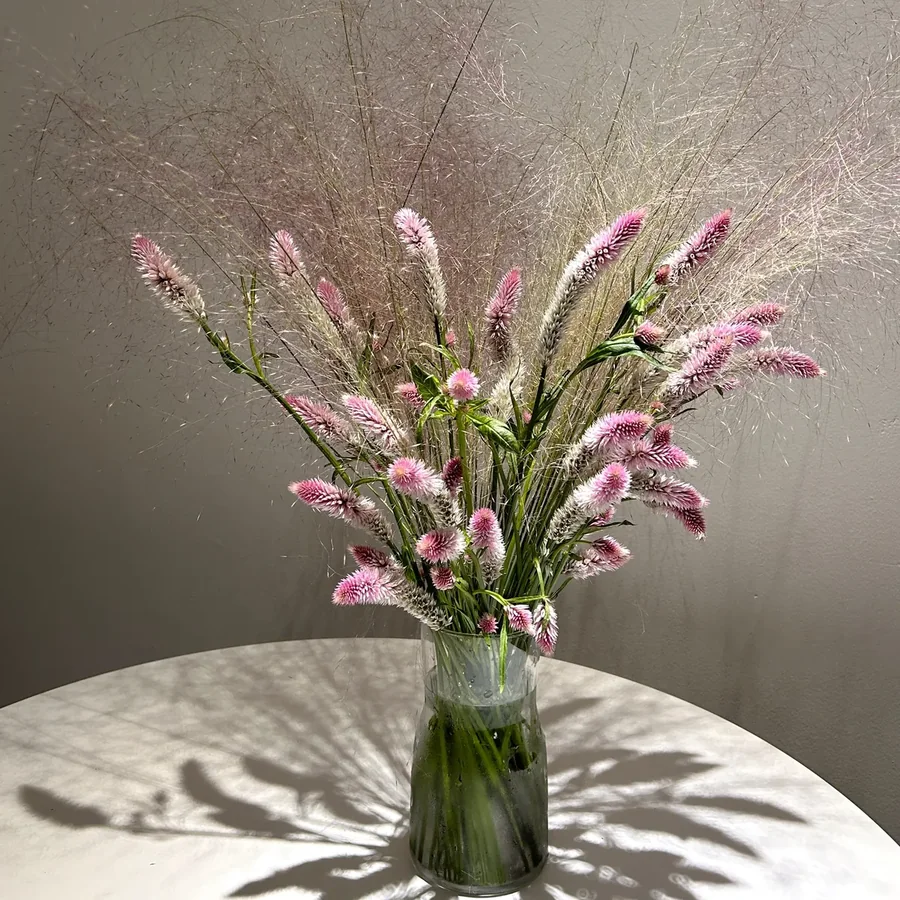 Pink celosia with feathery grass
