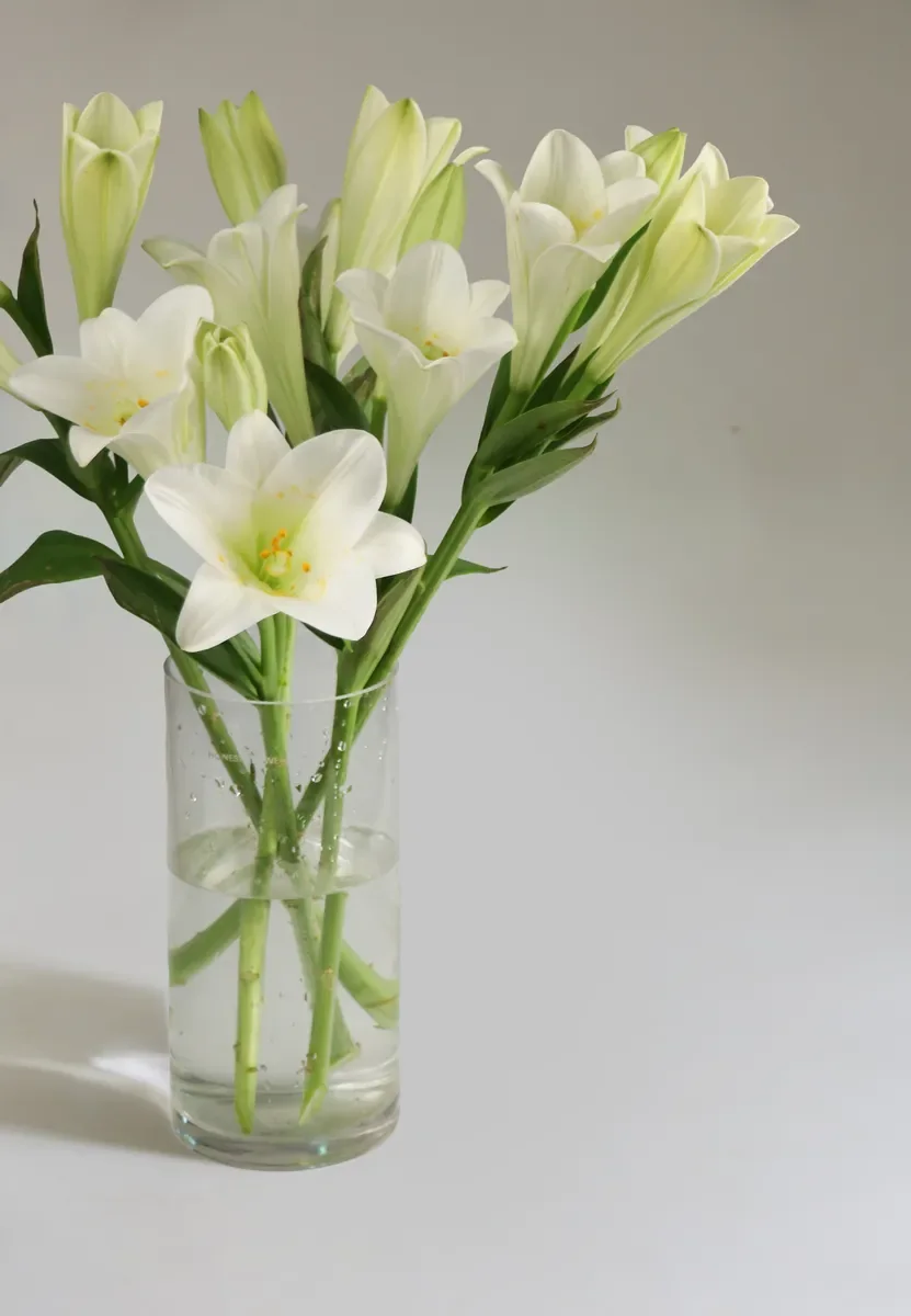 White lilies in a clear cylinder
